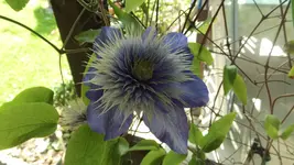 DSCI0669.webp