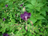 DSCI4064.webp