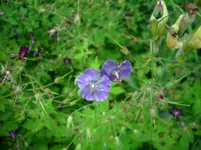 DSCI4065.webp