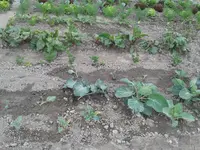 20160605_142016.webp