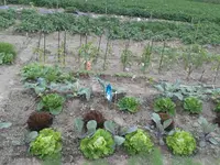 20160605_142051.webp