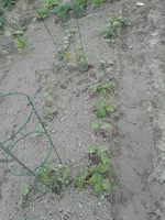 20160605_142112.webp