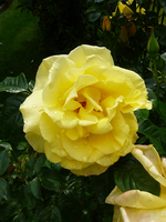 P1120112.webp
