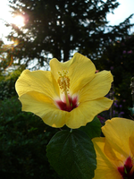 P1120125.webp