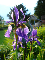 P1120130.webp