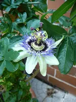 P1120147.webp