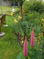 DSCN4064.webp