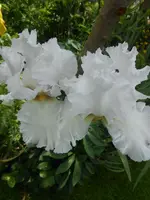DSCN4079.webp