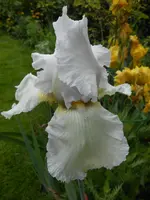 DSCN4055.webp