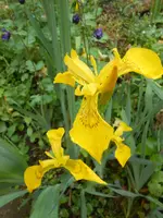 DSCN4056.webp