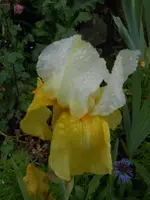 DSCN4058.webp