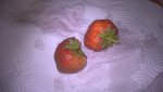 WP_20160605_20_58_39_Pro.jpg