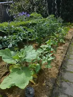 DSCN4072.webp