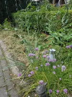 DSCN4073.webp