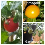 2016-06-05_21.16.25.jpg