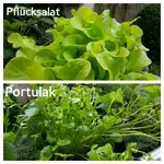 2016-06-05_21.13.47.jpg