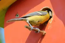2016-06-8774.webp