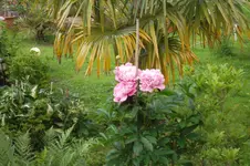 SAM_1500.webp