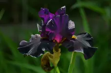 22.webp