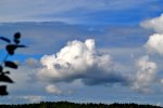 DSC_1388.jpg