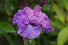DSC05756.webp