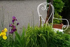 DSC05818.webp