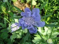 IMG_4858.webp
