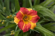 IMG_0660-2.webp