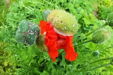DSCF6136 (2).webp