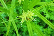 DSCF6188 (2).webp