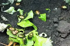 DSCF6221 (2).webp