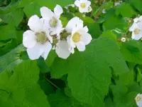 CIMG0704.webp