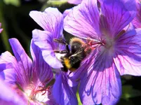 DSCN6263.webp
