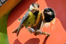 2016-06-06-8800.webp