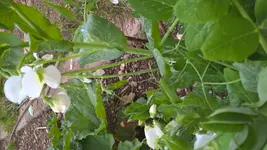 WP_20160606_17_50_46_Pro.jpg