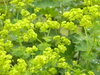 DSCN0260.webp