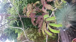 20160604_175246.webp