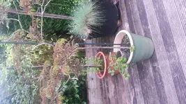 20160604_175232.webp