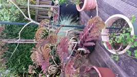 20160606_193437.jpg