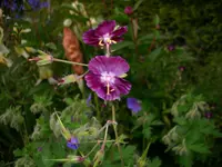 DSCI4088.webp