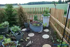 comp_DSC05008.webp