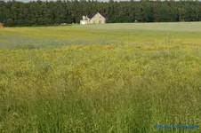 comp_DSC05015.webp