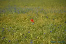 comp_DSC05017.webp