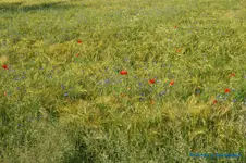 comp_DSC05018.webp