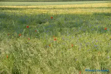 comp_DSC05019.webp