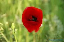 comp_DSC05023.webp