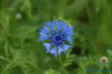 comp_DSC05024.webp