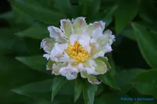 comp_DSC05014.webp