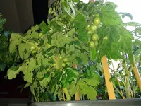 IMG_20160606_202136.webp