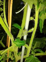 IMG_20160606_202620.webp